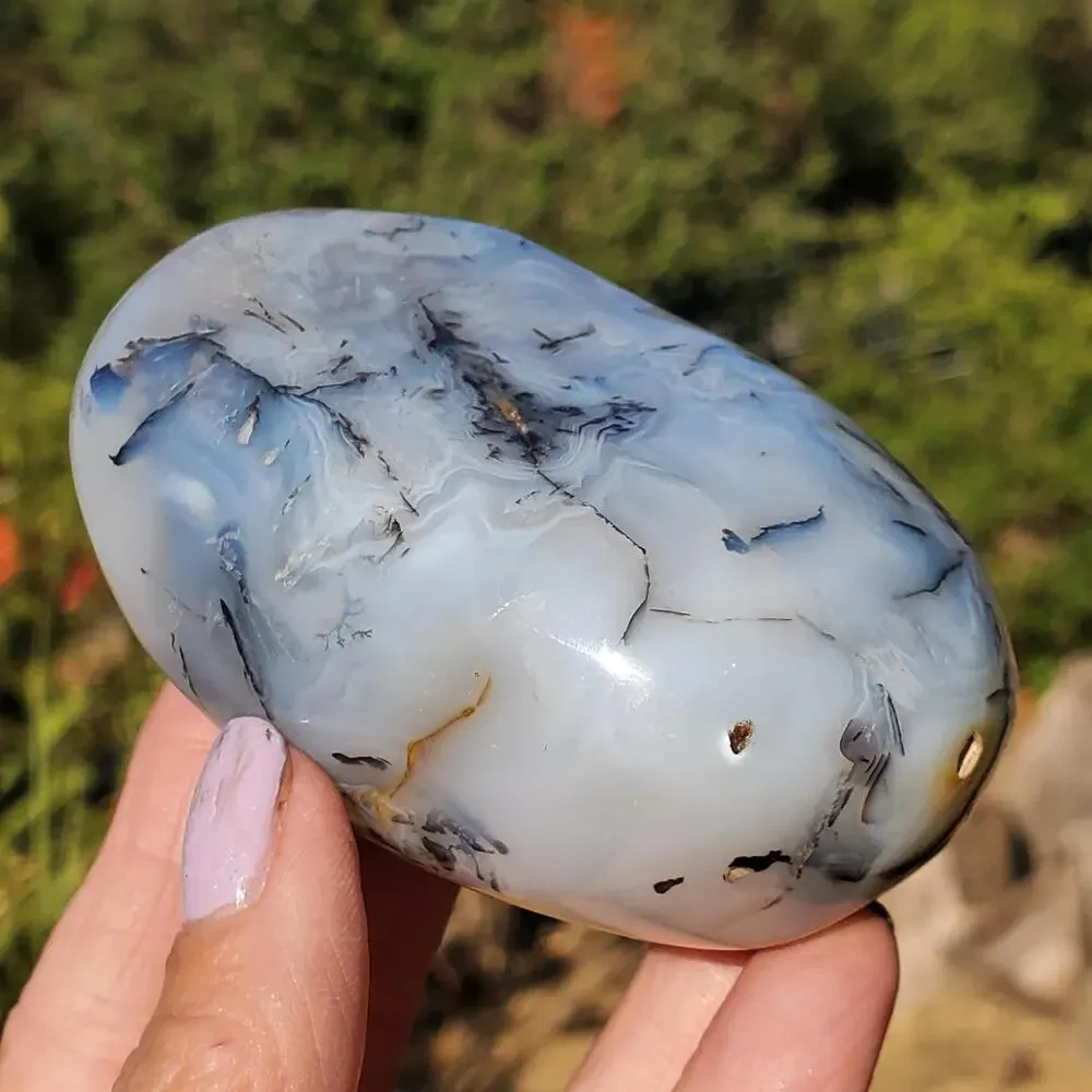 Dendritic Agate Multi-Color Pattern Translucent Freeform Crystal 258 Grams